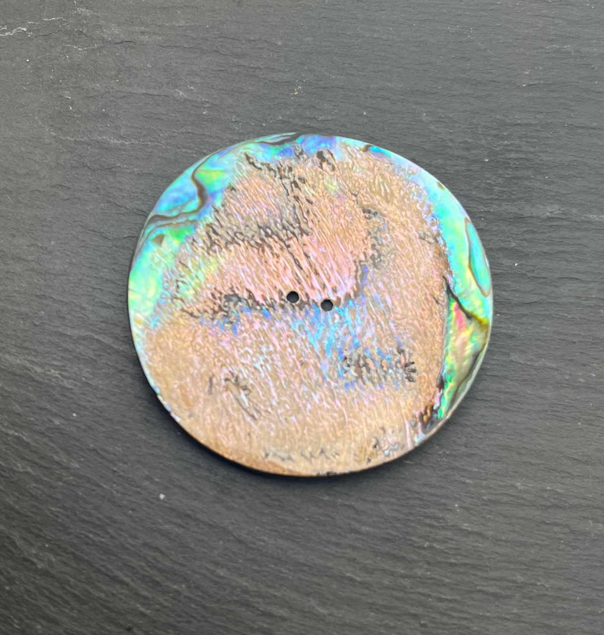 Abalone Shell, ø 50 mm