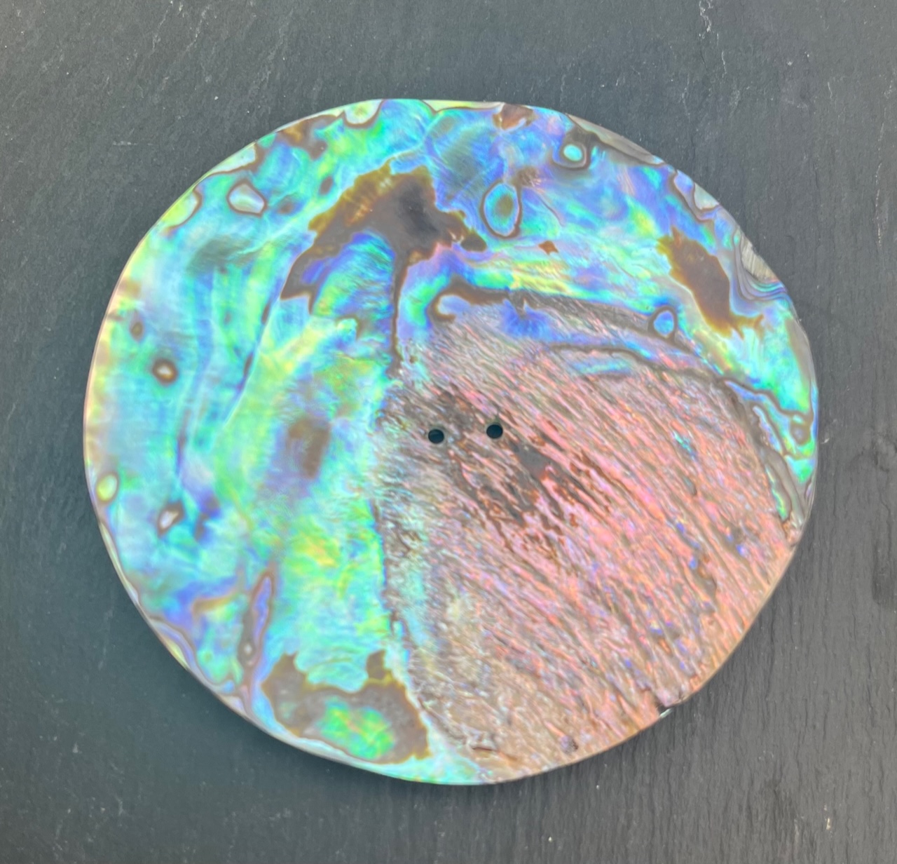Abalone Shell, ø 75 mm