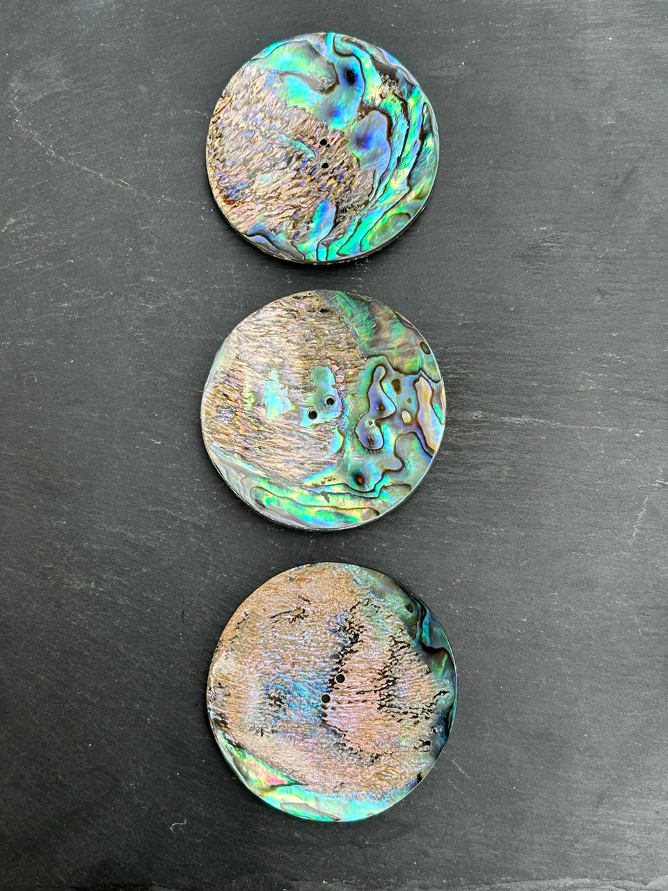 Abalone Shell, ø 50 mm