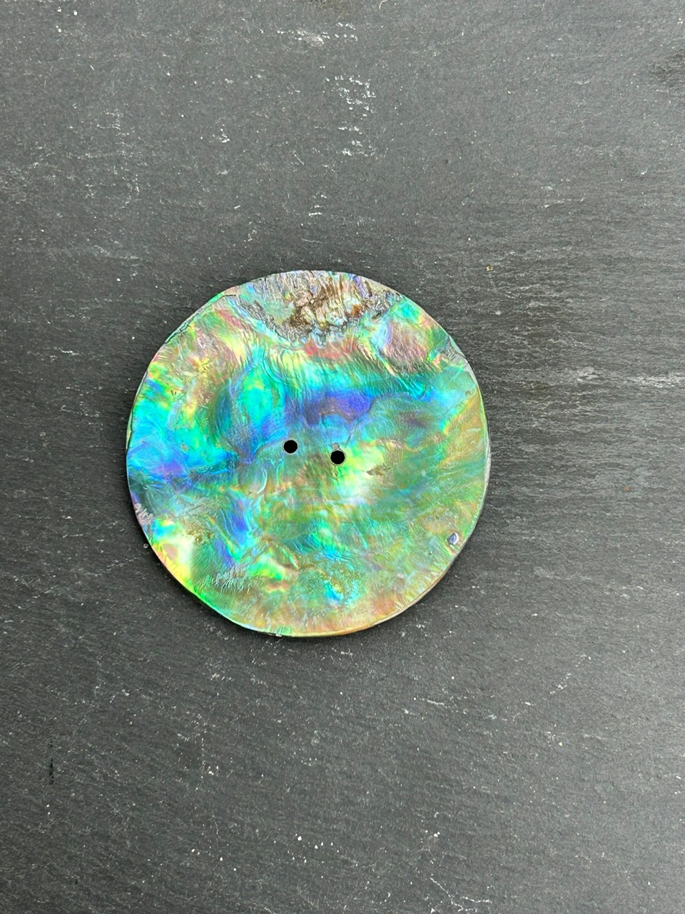 Abalone Shell, ø 42 mm