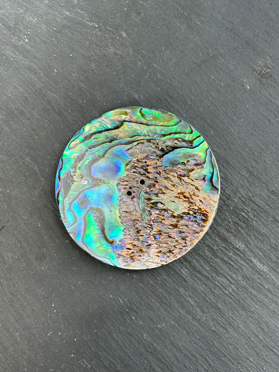 Abalone Shell, ø 50 mm